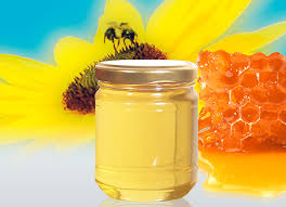 Organic Multi Flower Honey02